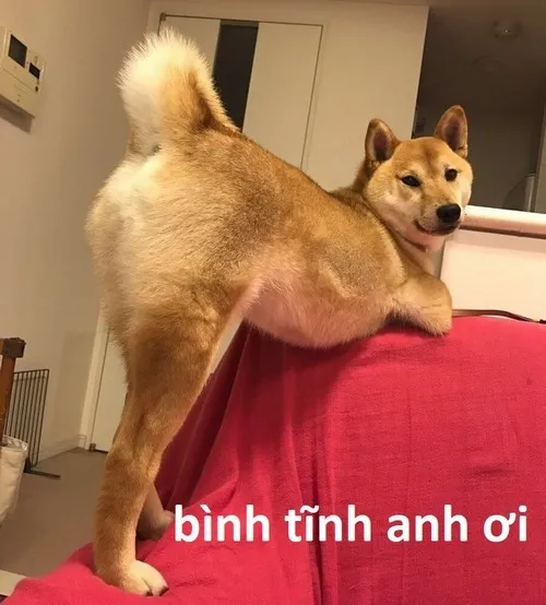 Meme hài nguội bớt đi không đáng đâu