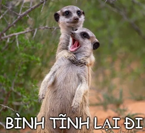 Ảnh vui thần thái hạ hỏa nhẹ kẻo bốc khói