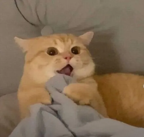 Ảnh chế gương mặt há miệng ngơ ngác dễ sợ