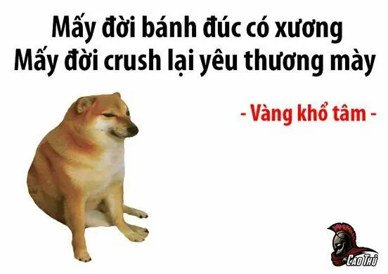 Ảnh vui triết lý nhẹ dành cho dân văn phòng