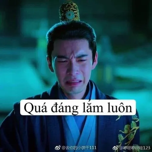 Meme hài nhưng cười xong thấy… đau thấu tim.
