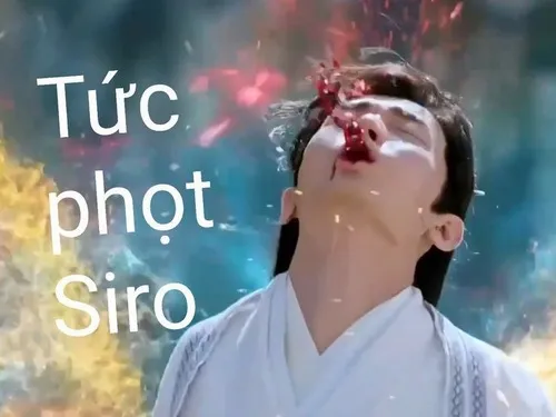 Meme đau khổ nhìn mà lòng tan nát.