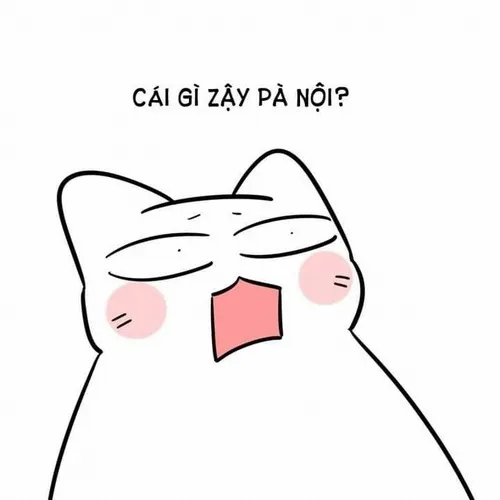 Ảnh vui dáng ngồi ngu người mà đáng yêu