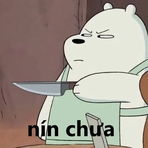 Ảnh troll nét mặt đóng mồm tao bảo vậy.