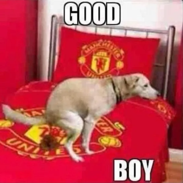 Meme hài MU phong độ như tàu lượn