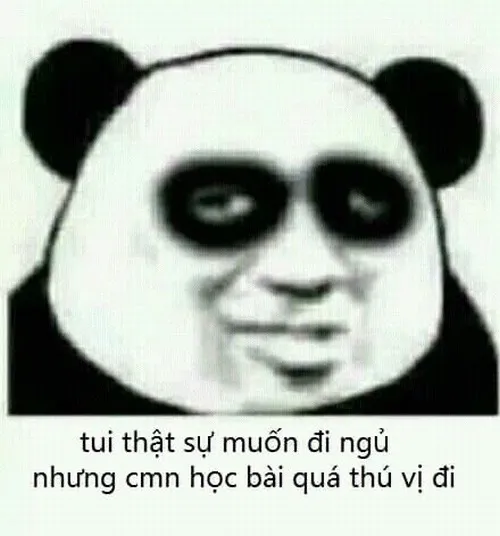 Meme chế ngáp ngắn ngáp dài trong giờ làm