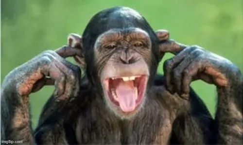 Meme hài “không nha, tui ở yên cho khoẻ”