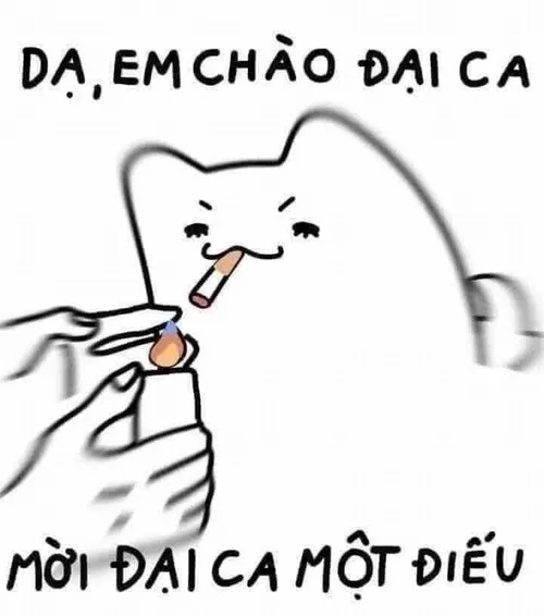 Ảnh troll phòng im phăng phắc trước deadline