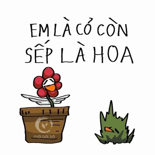 Ảnh troll buổi chiều ai cũng canh giờ về