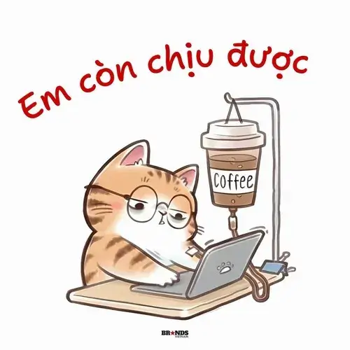 Meme công sở kể chuyện file báo cáo biến mất