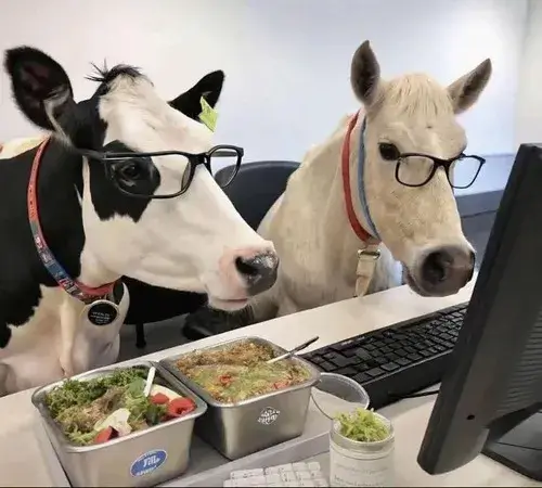 Hình chế nhân viên giả vờ gõ bàn phím thật nhanh