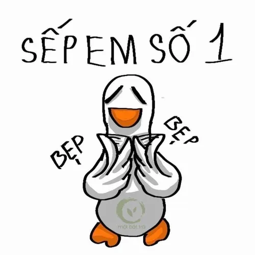 Meme hài cảnh báo cáo trễ mà vẫn bình tĩnh