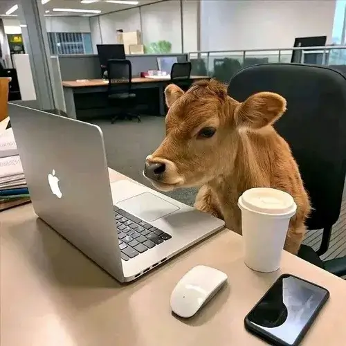 Meme hài cảnh sếp hỏi “ai xung phong làm?”