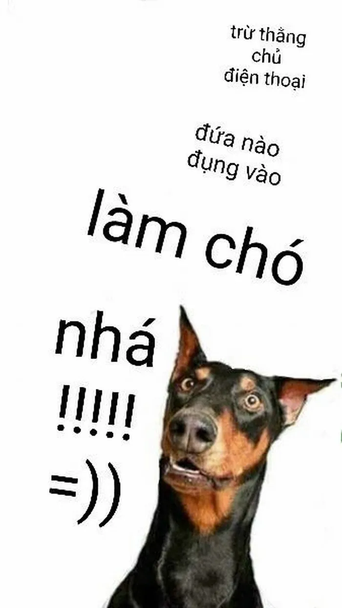Hình nền meme cho điện thoại, bố cục ngang bắt mắt.