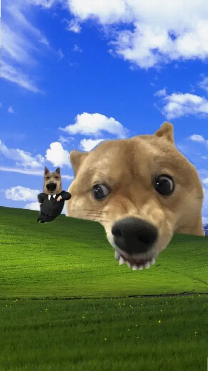 Wallpaper cat troll, icon nhỏ giữa nền trắng cực hợp trend.