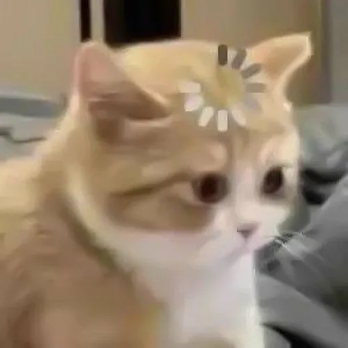 175 Loạt 60+ ảnh Meme Hoang Mang hài hước bá đạo cho những tình huống khó đỡ nhất