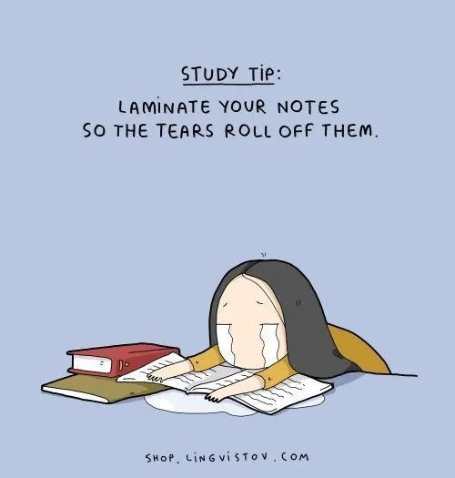 Ảnh troll học ielts biểu cảm siêu thực của dân luyện thi