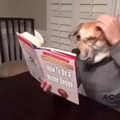 Ảnh chế học tiếng nhật cute mà khó tới mức muốn khóc