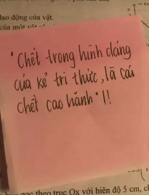 Meme hài học hành pha trộn giữa nỗ lực và tuyệt vọng
