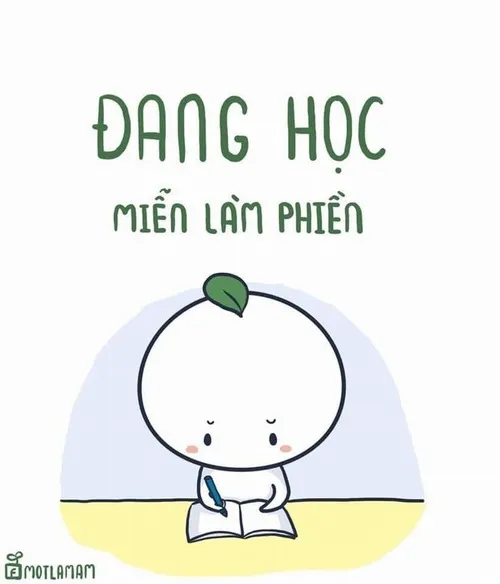 Ảnh meme Đang học, miễn làm phiền