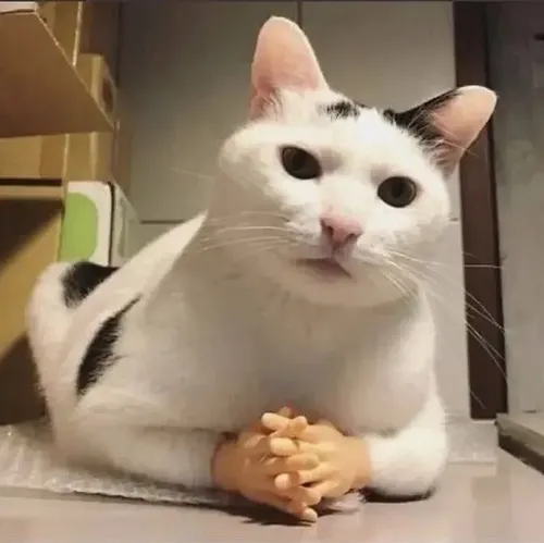 Ảnh troll biểu cảm hóng chuyện hot rõ ràng