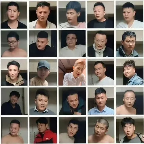 2 Hồng Tỷ: từ cú lừa tình thành meme xã hội châm biếm
