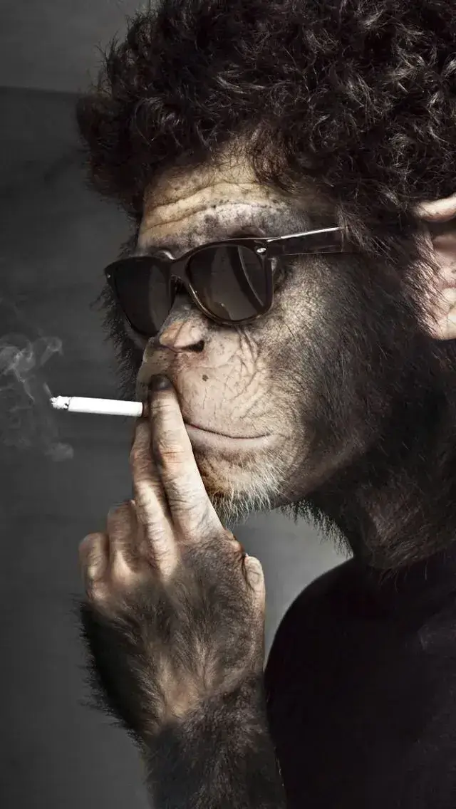 Ảnh troll ngậm điếu thuốc lá dáng bất ngờ