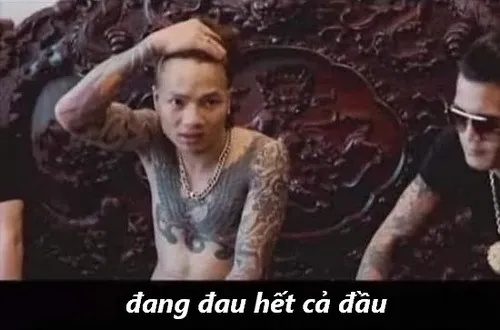 52 Meme hài lan nhanh nhờ cộng đồng fan chế ảnh