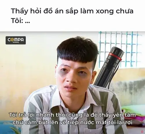 27 Ảnh vui lan truyền qua TikTok remix trend nhạc