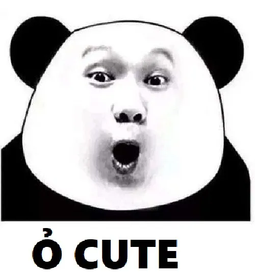 Hình troll gấu trúc khen vợ đáng yêu ghê