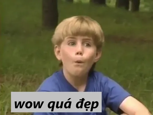 Meme khen vợ xinh dịu dàng dễ sợ