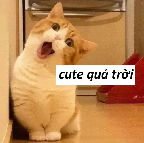 88 100+ ảnh Meme Khen xinh đẹp tới Khen ngợi giỏi giang tuyên dương khiến bạn bật cười