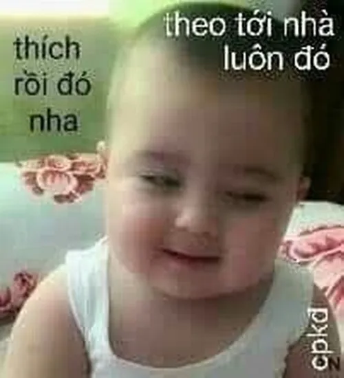 Meme khen bạn gái đẹp như nắng mai