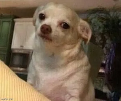 Meme khó chịu thể hiện sự giận dữ hài hước