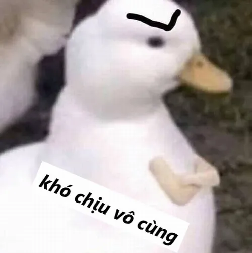 10 Top 75 Meme Khó Chịu Vô Cùng ai cũng đồng cảm vì quá thật quá buồn cười