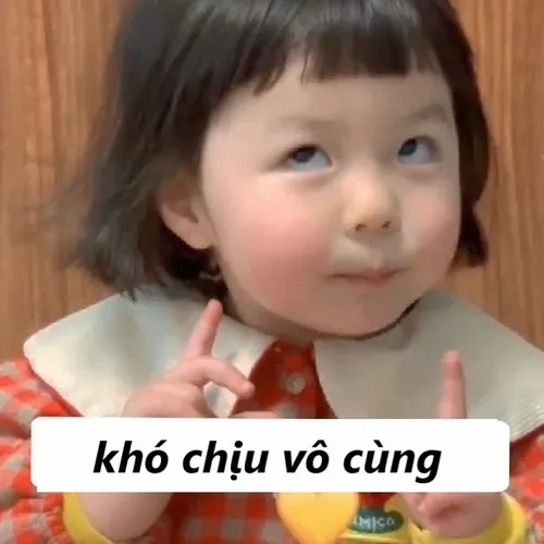 Hình chế biểu cảm cau có khó chịu lan truyền khắp TikTok