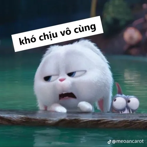Hình chế khuôn mặt “ngứa mắt” siêu bắt trend