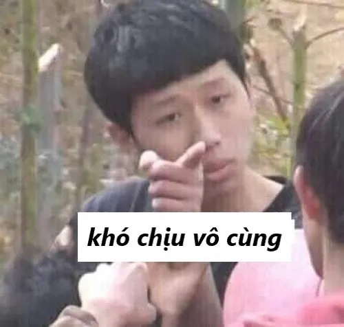 Meme khó chịu vô cùng giúp nói hộ điều ta không dám nói
