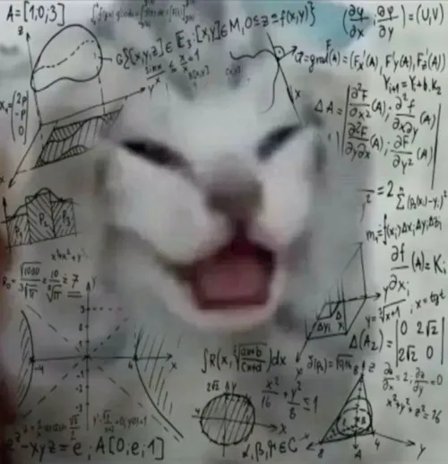 Meme hài mèo biểu cảm ôm đầu ngáo ngơ