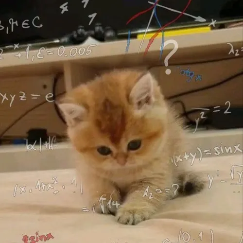 Ảnh chế gương mặt mèo con đăm chiêu suy nghĩ