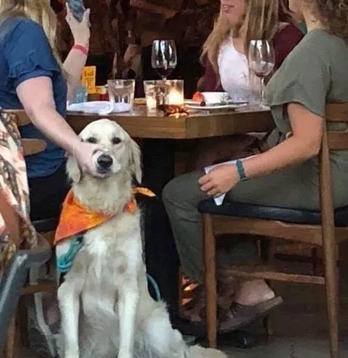 Khoảnh khắc khóa mõm gắt nhất trong group chat