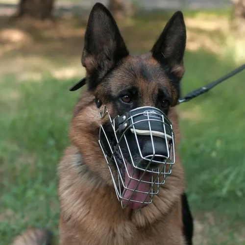 Hình troll khóa miệng dùng khi lỡ lời trên mạng