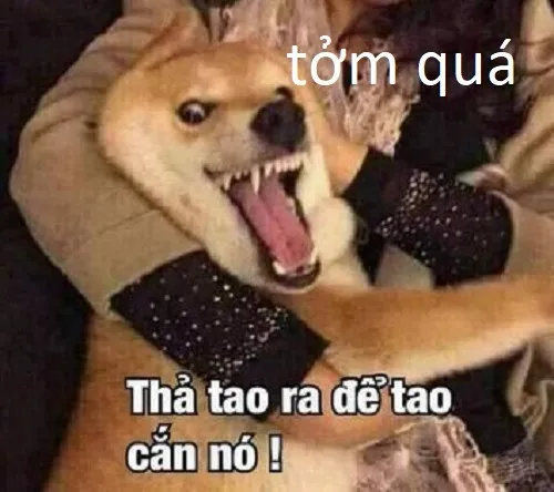 Meme chó cũng chê ghê tởm