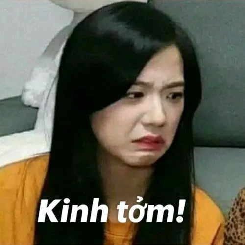 Meme Kinh Tởm, Ghê Tởm bày tỏ sự khó chịu cho hành động thiếu văn hóa, kém duyên