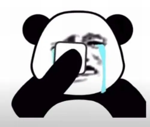 Hình chế gấu trúc lau lệ vì nồi cơm khét lẹt