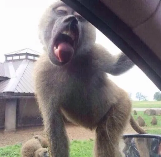 Ảnh chế lè lưỡi ngố ngố cực dễ thương