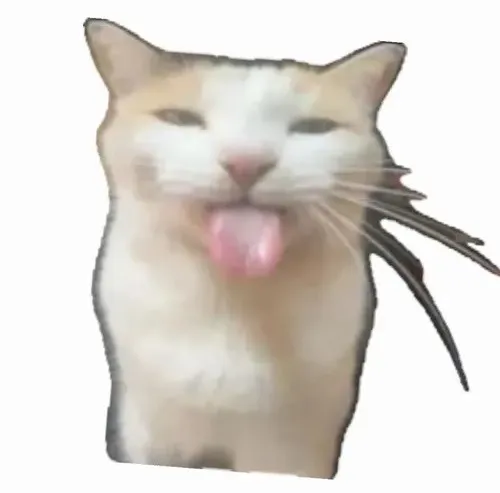 Meme mèo lêu lêu và hành trình trở thành biểu tượng trêu chọc vui nhất mạng