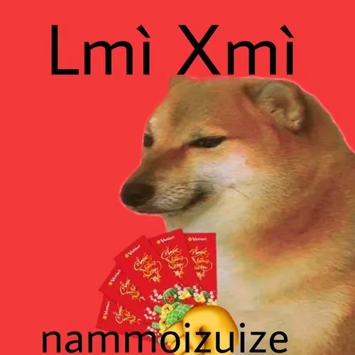 Mèo lì xì meme chúc mừng tuổi cực đáng yêu