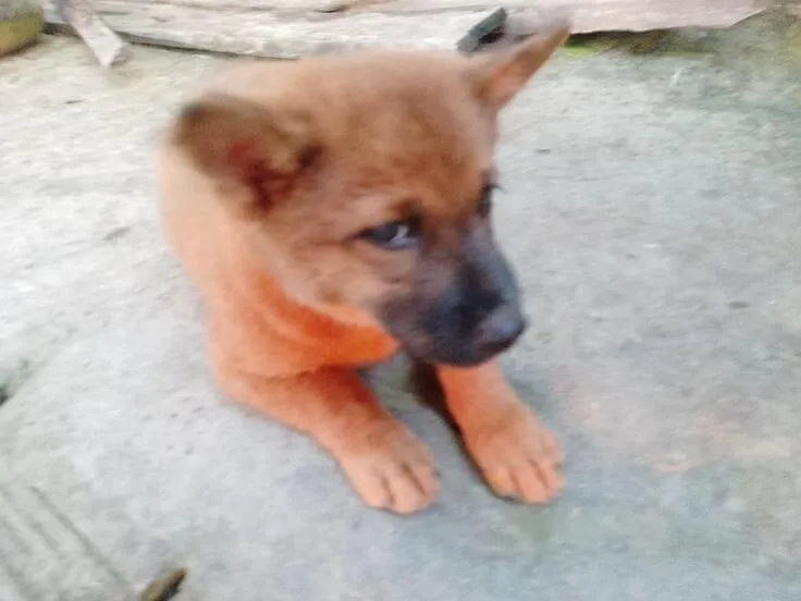 Ảnh vui cái liếc đầy sự hoài nghi