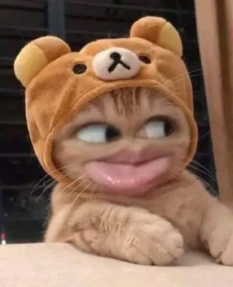 Meme lườm ánh mắt nghi hoặc rõ ràng